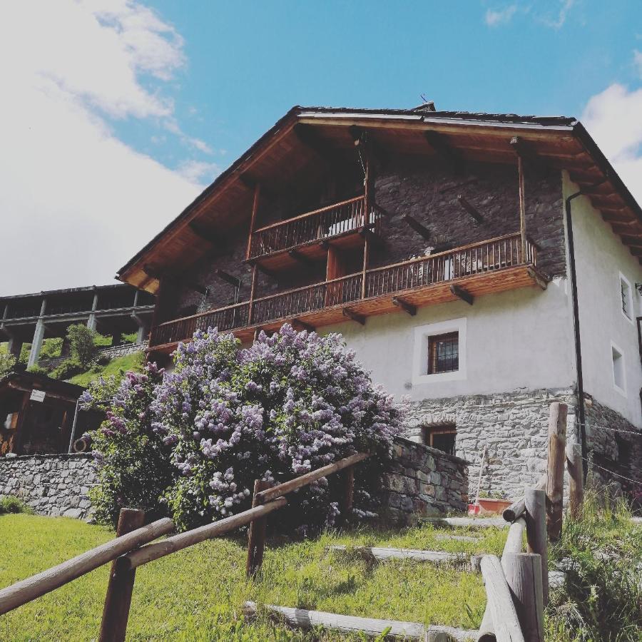 La Thuillettaz B&B Saint-Rhemy-En-Bosses Eksteriør billede