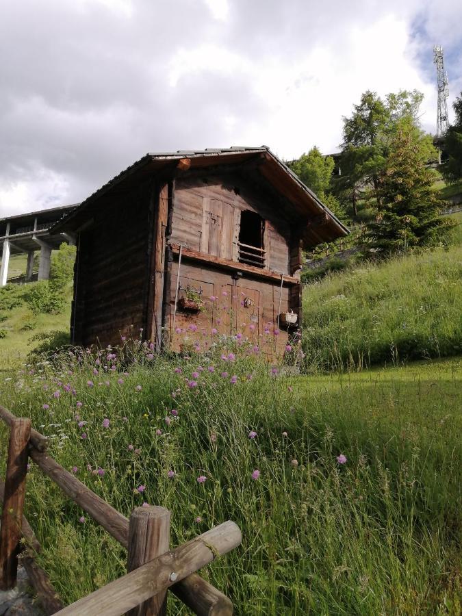 La Thuillettaz B&B Saint-Rhemy-En-Bosses Eksteriør billede