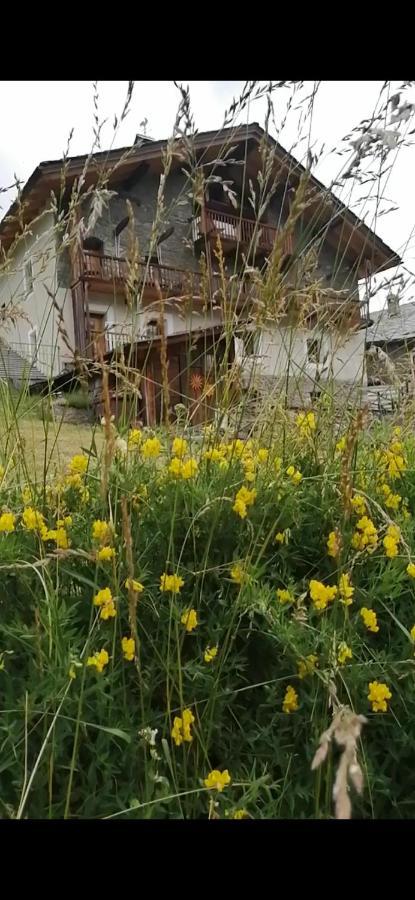 La Thuillettaz B&B Saint-Rhemy-En-Bosses Eksteriør billede