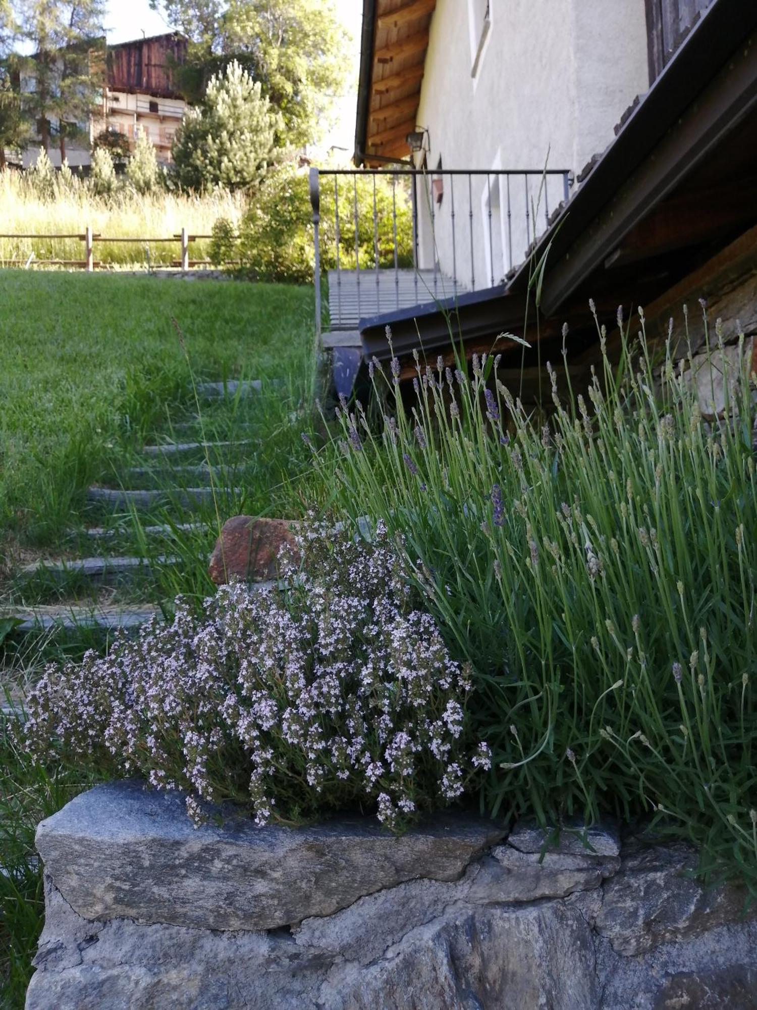 La Thuillettaz B&B Saint-Rhemy-En-Bosses Værelse billede